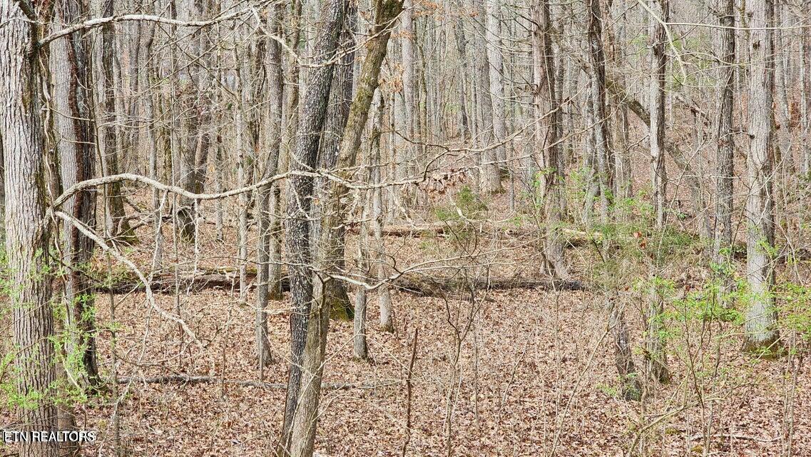 210 E Shore Drive Rockwood TN 37854