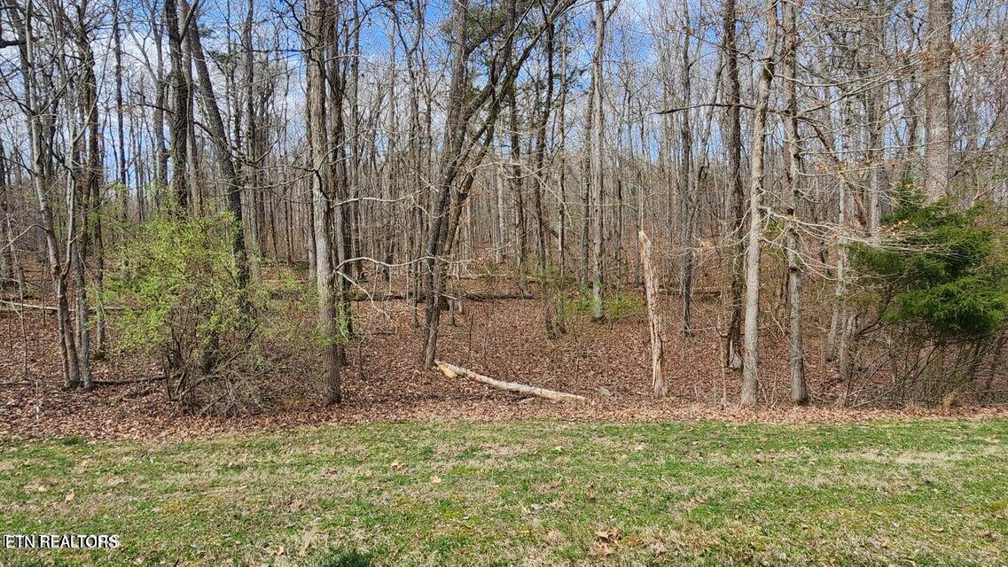 210 E Shore Drive Rockwood TN 37854