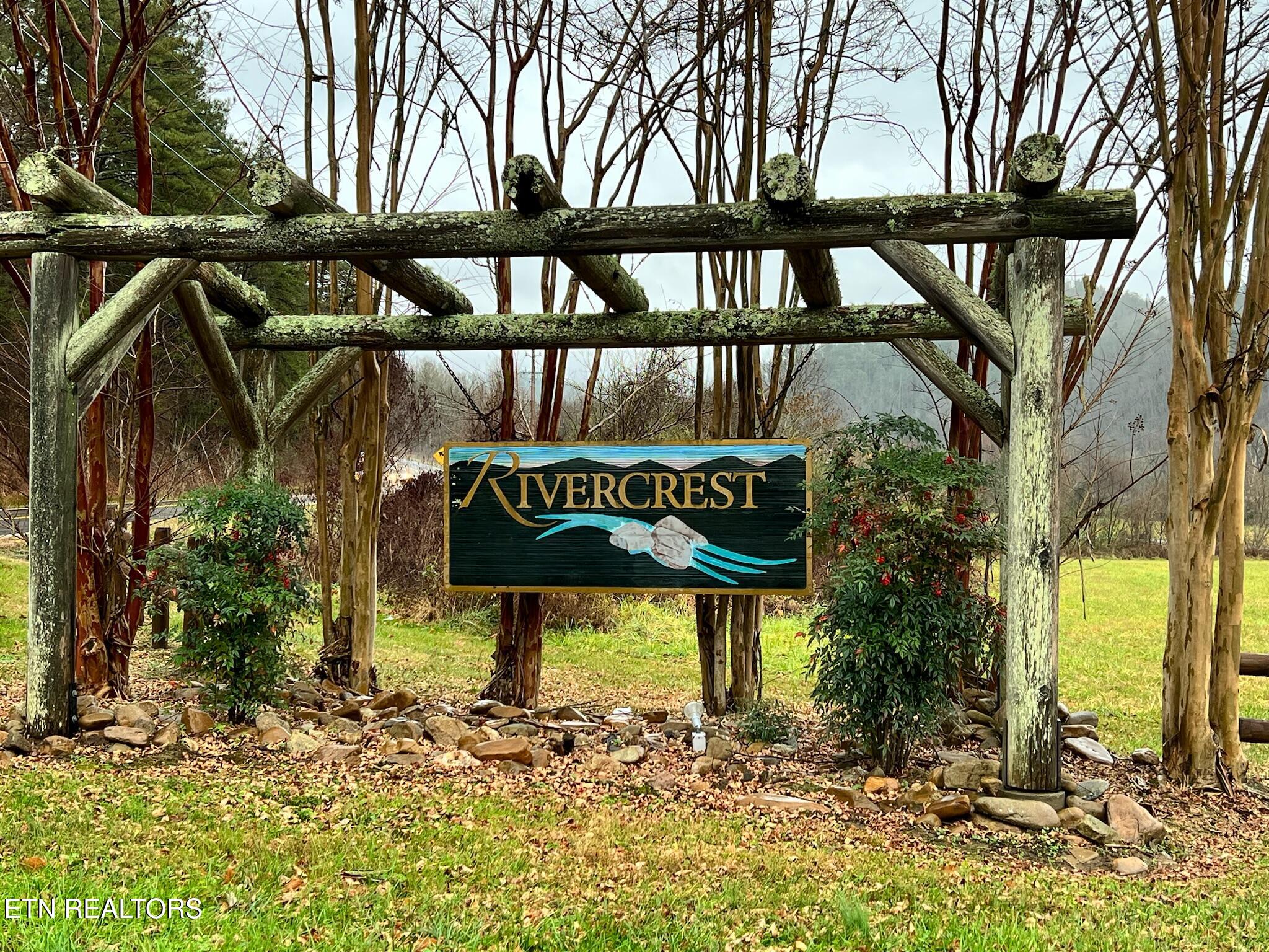 Lot 117 Huff Overlook Way Del Rio TN 37727