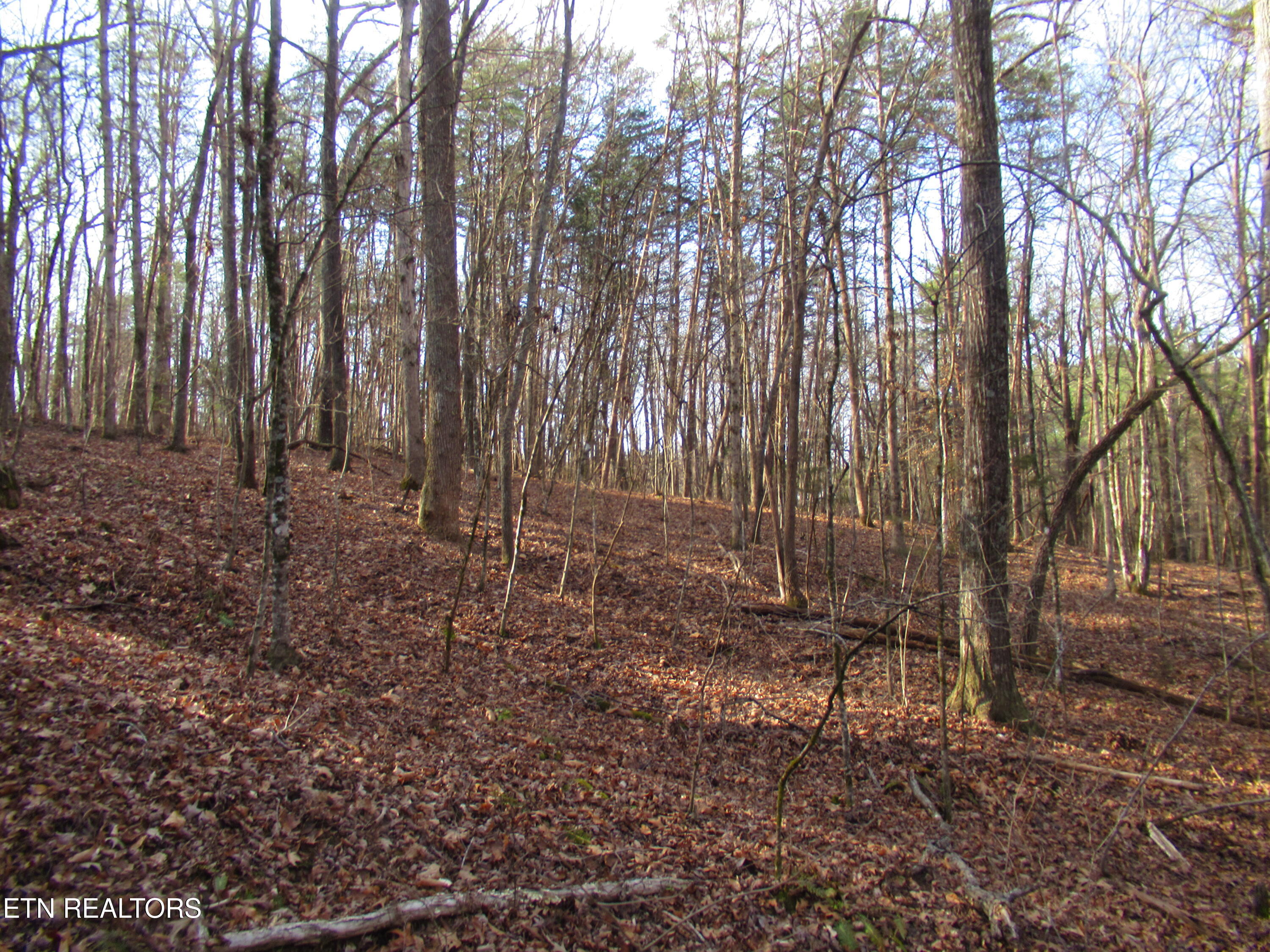 Tomotley Road Maryville TN 37801