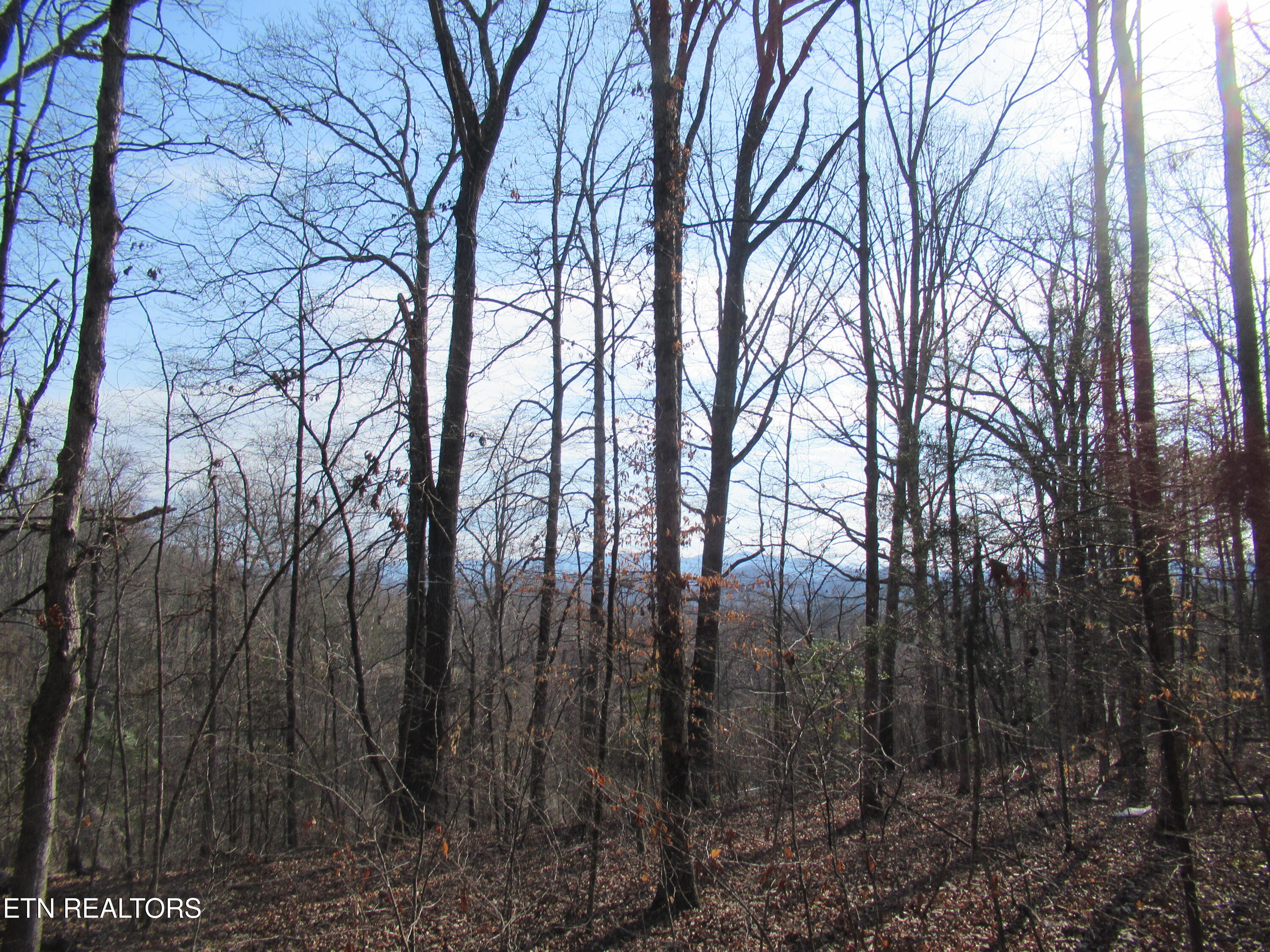 Tomotley Road Maryville TN 37801