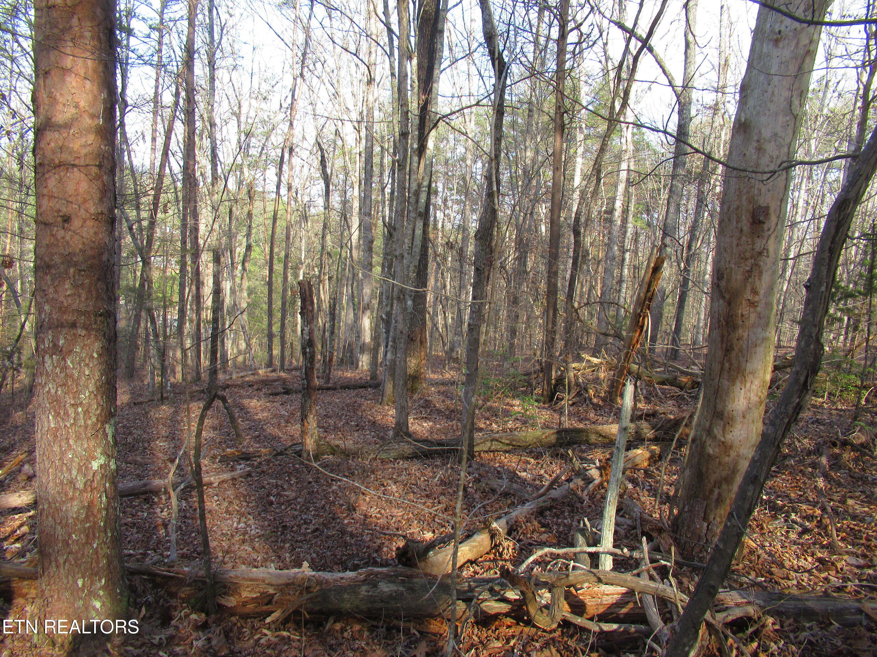 Tomotley Road Maryville TN 37801