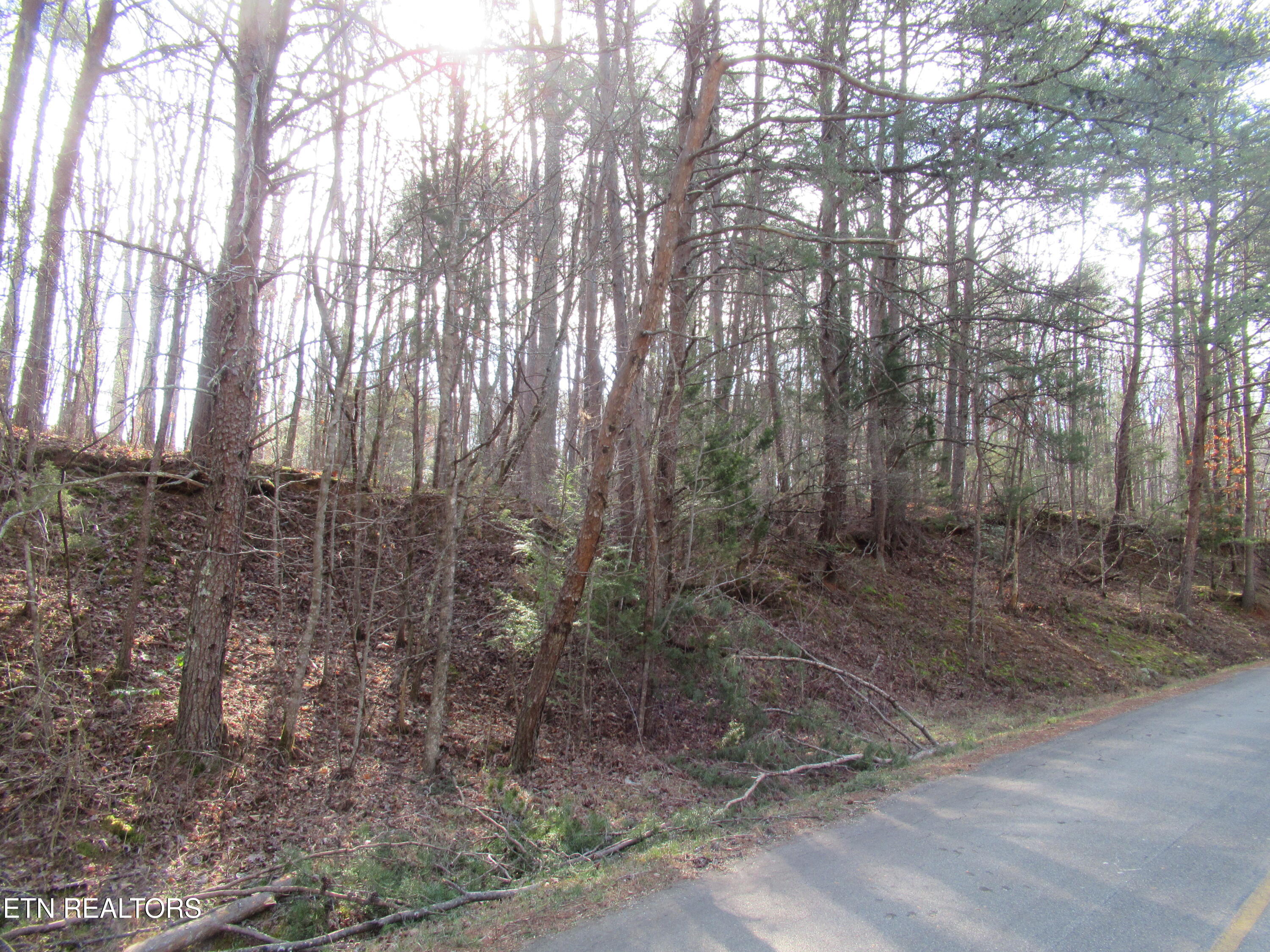 Tomotley Road Maryville TN 37801