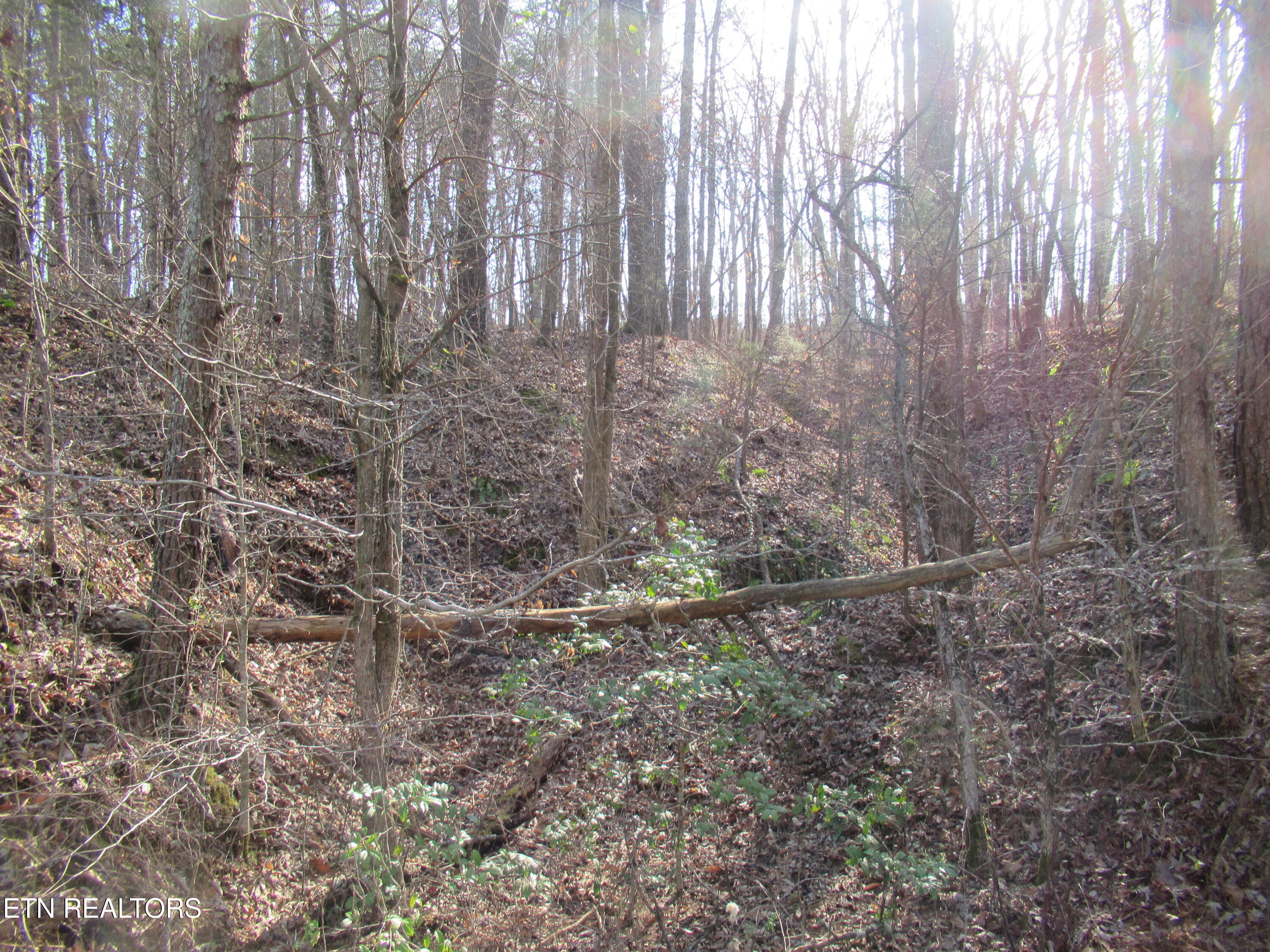 Tomotley Road Maryville TN 37801