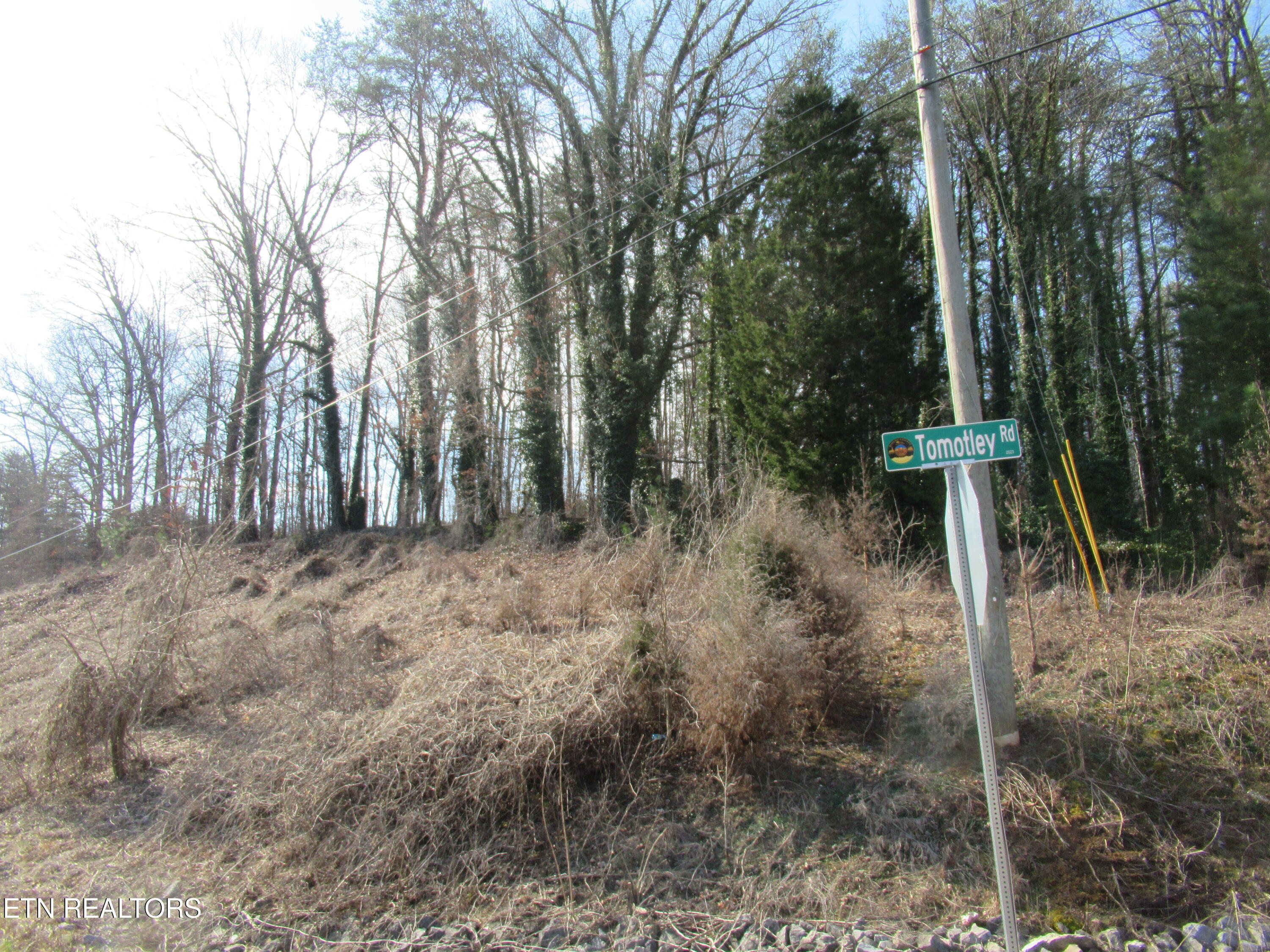 Tomotley Road Maryville TN 37801