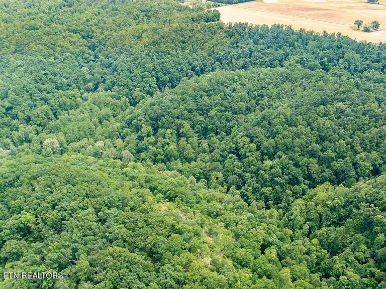 0 K Parker Road Woodbury TN 37190