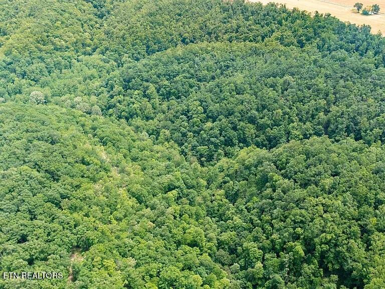 0 K Parker Road Woodbury TN 37190