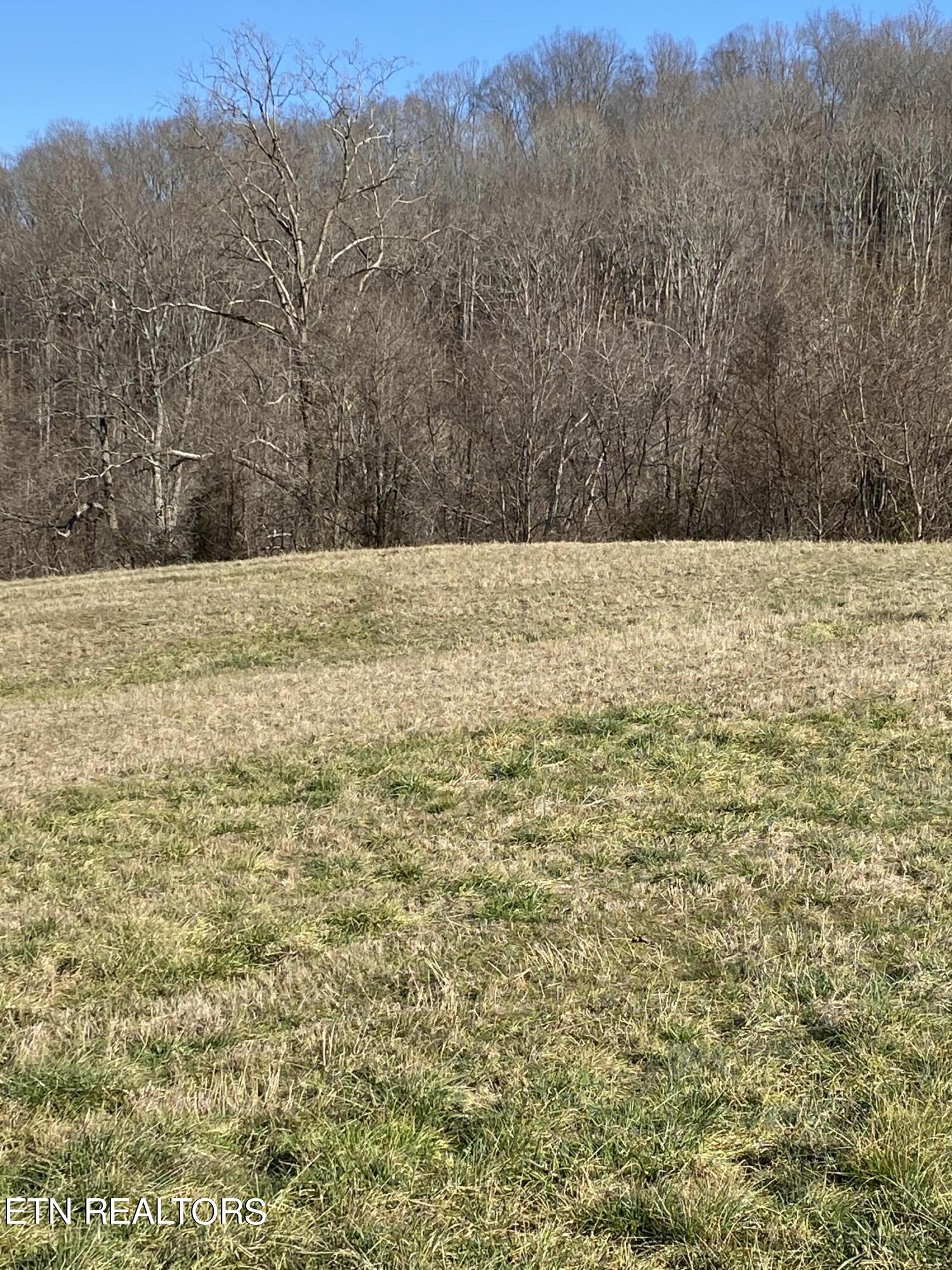 Bob Wright Road, Lot 25 Road Maynardville TN 37807
