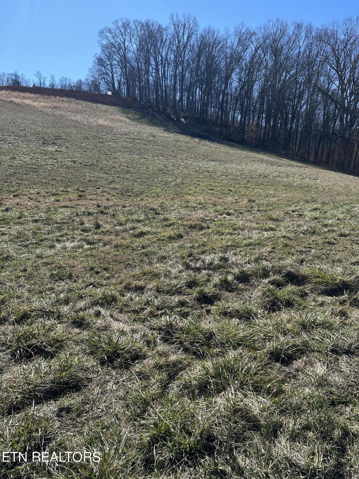 Bob Wright Road, Lot 25 Road Maynardville TN 37807