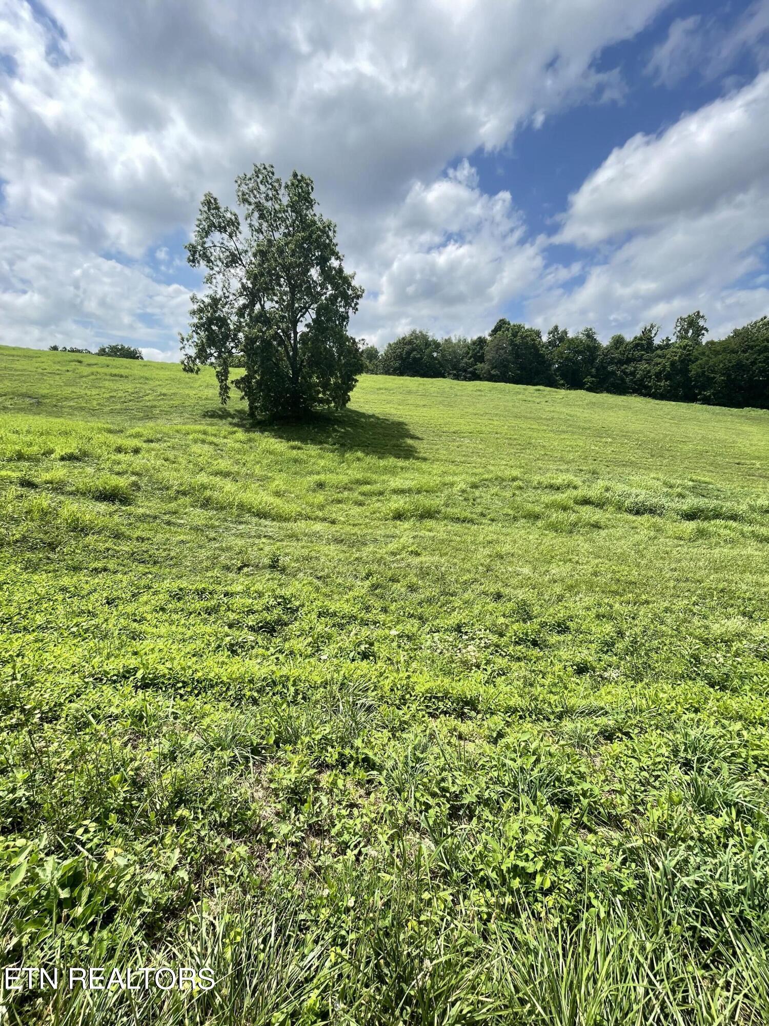 Bob Wright Road, Lot 25 Road Maynardville TN 37807