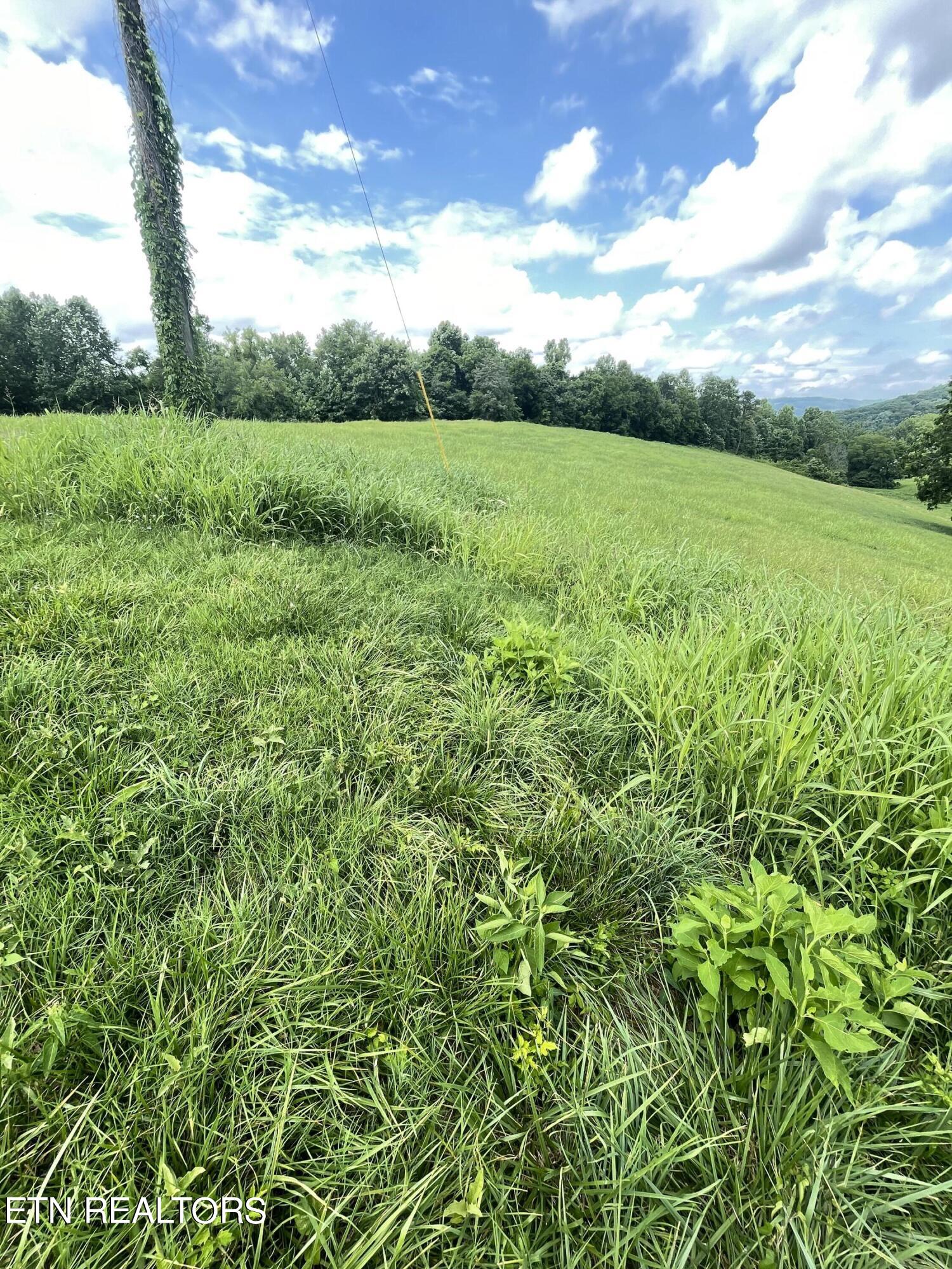 Bob Wright Road, Lot 25 Road Maynardville TN 37807