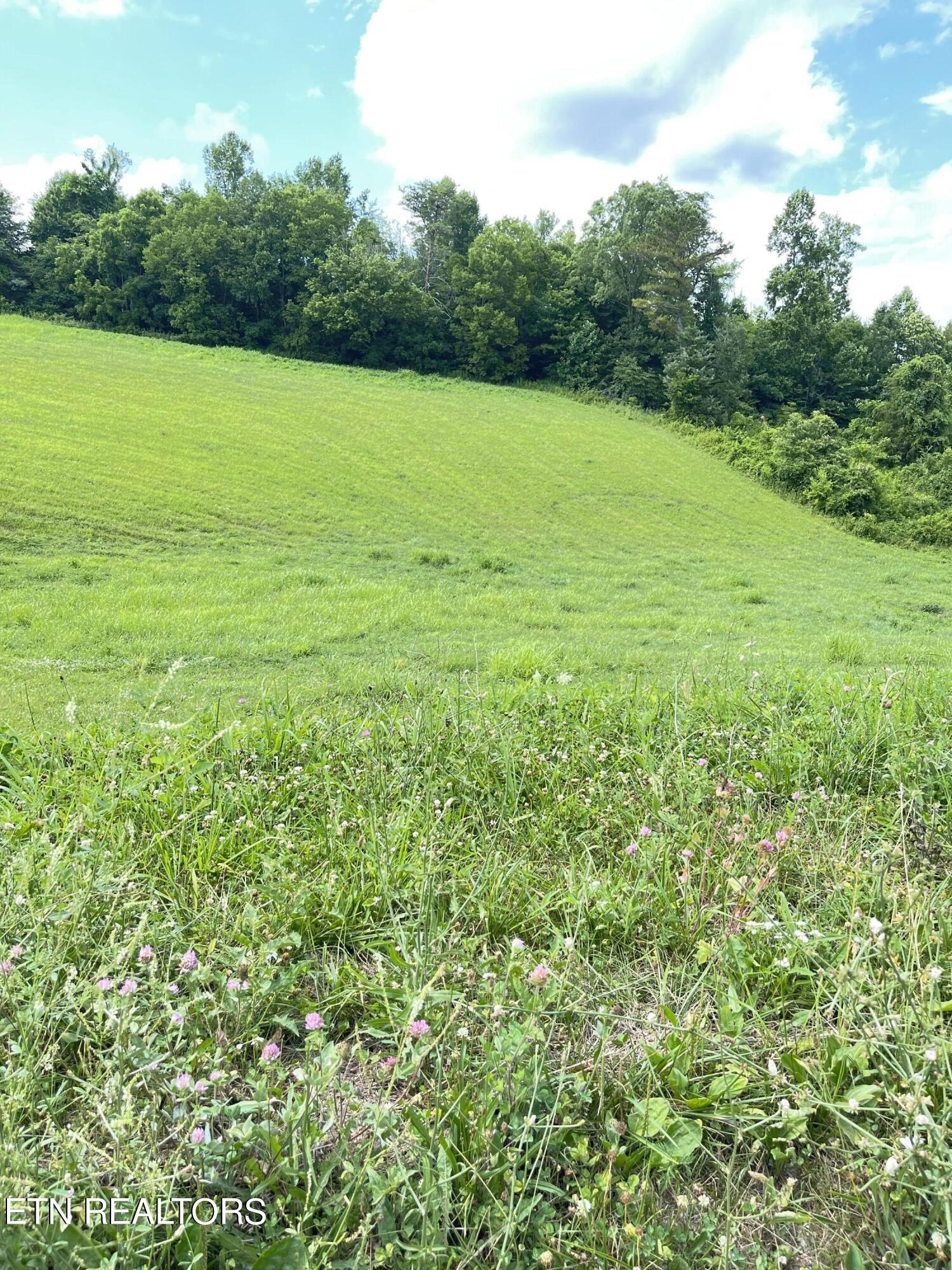 Bob Wright Road, Lot 25 Road Maynardville TN 37807