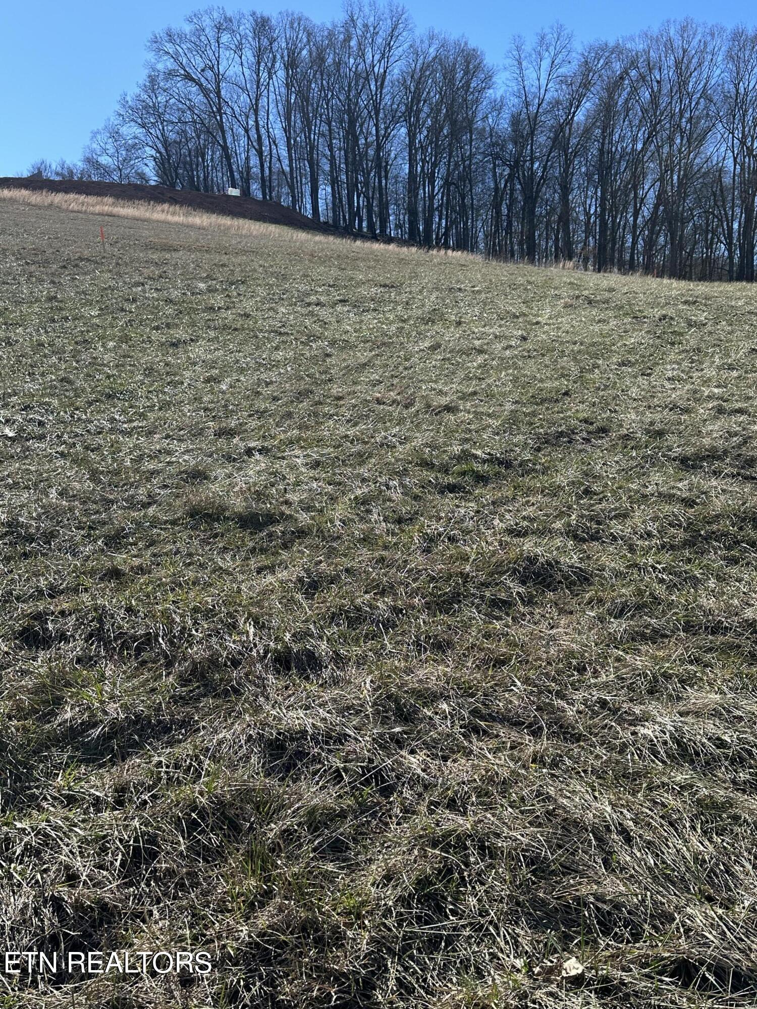Bob Wright Road, Lot 25 Road Maynardville TN 37807