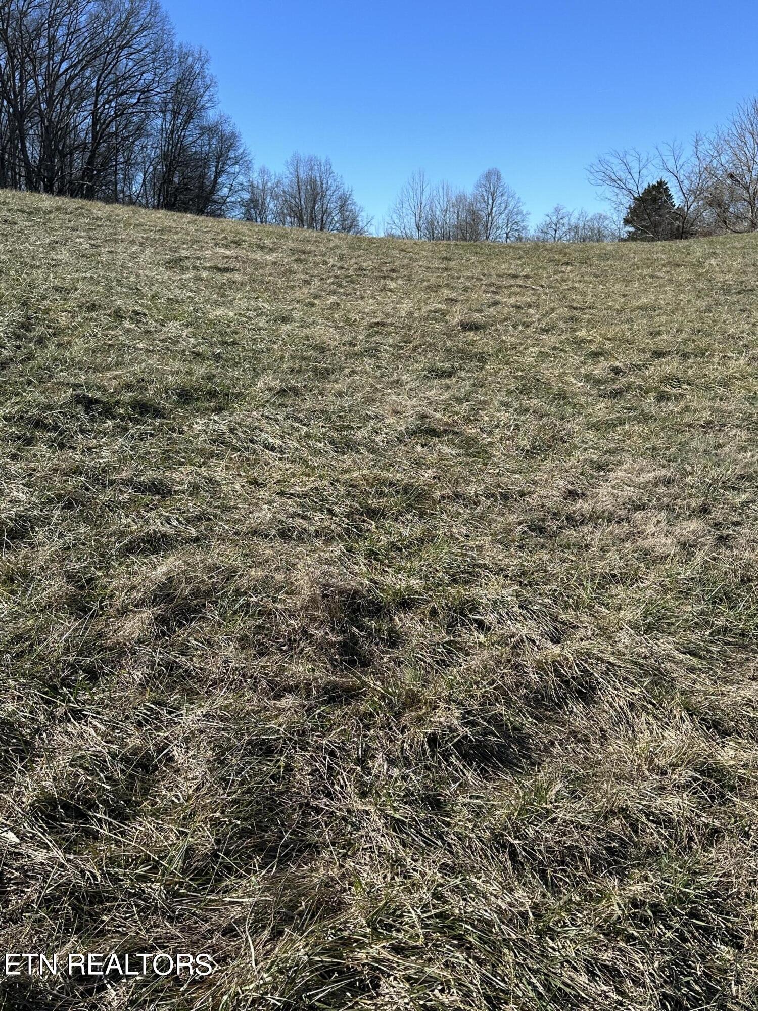 Bob Wright Road, Lot 25 Road Maynardville TN 37807