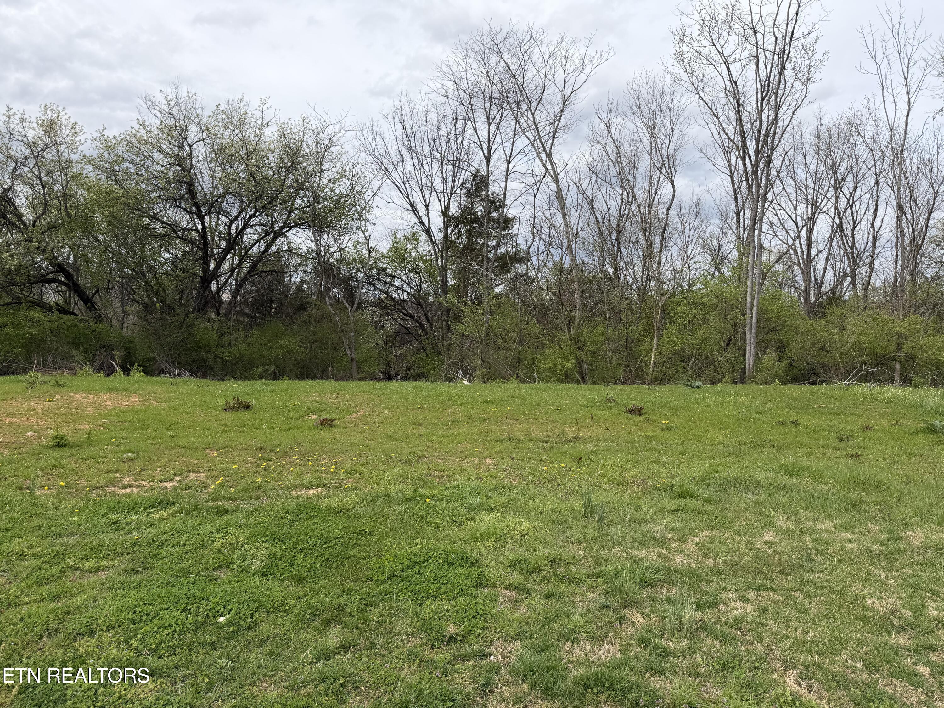 7430 Country Meadow Drive Knoxville TN 37918