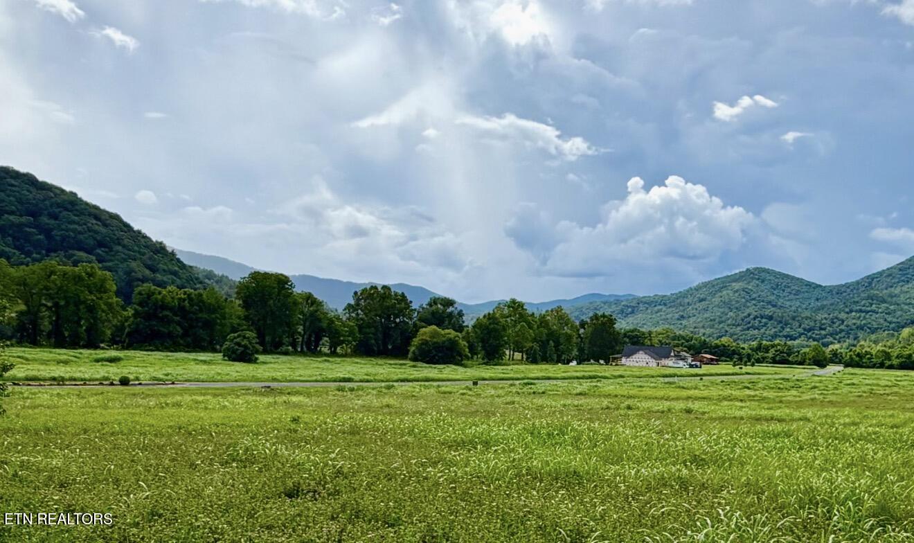 Lot 146 River Rapids Way Del Rio TN 37727