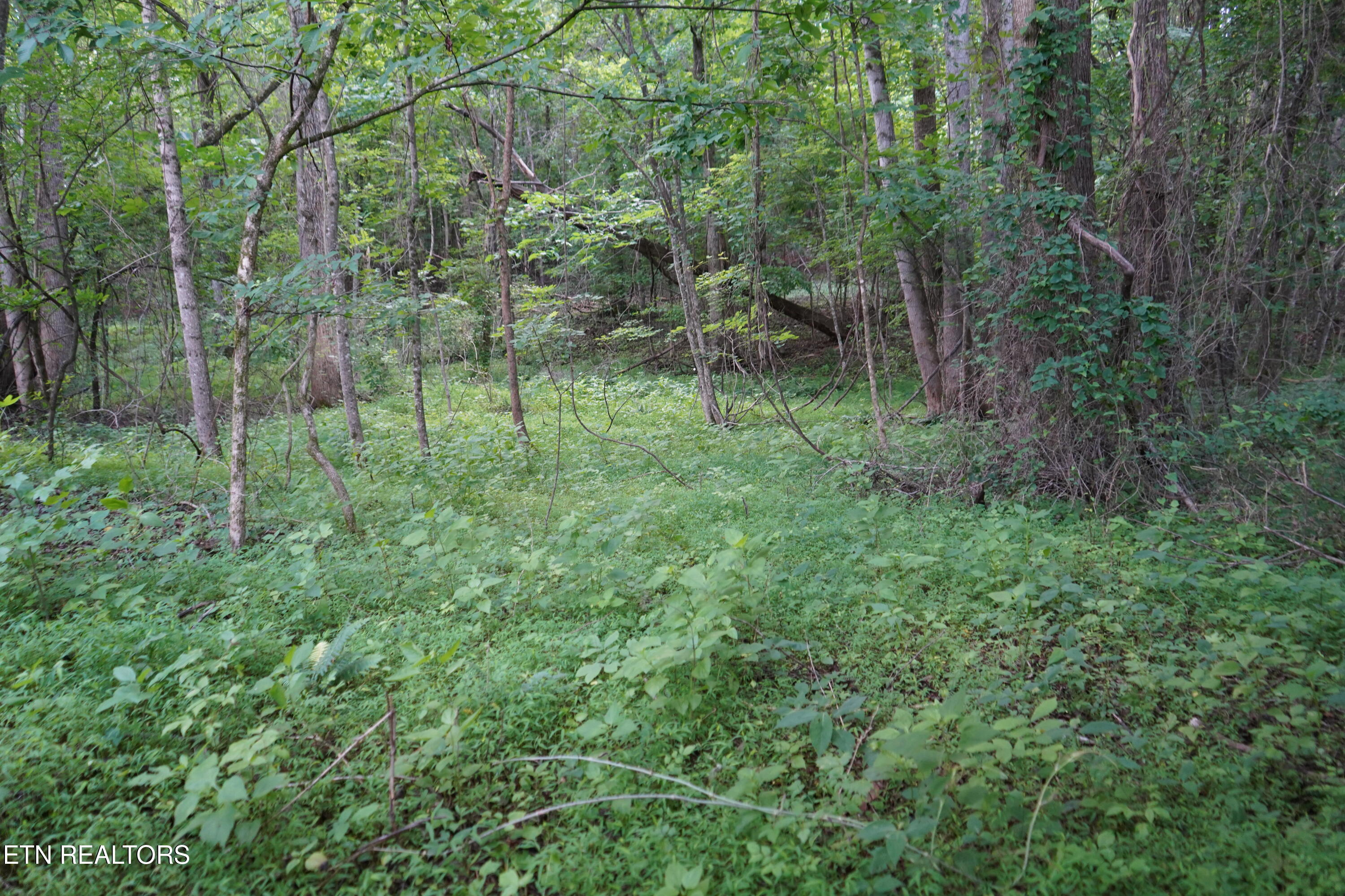 Hidden River Lane Spencer TN 38585