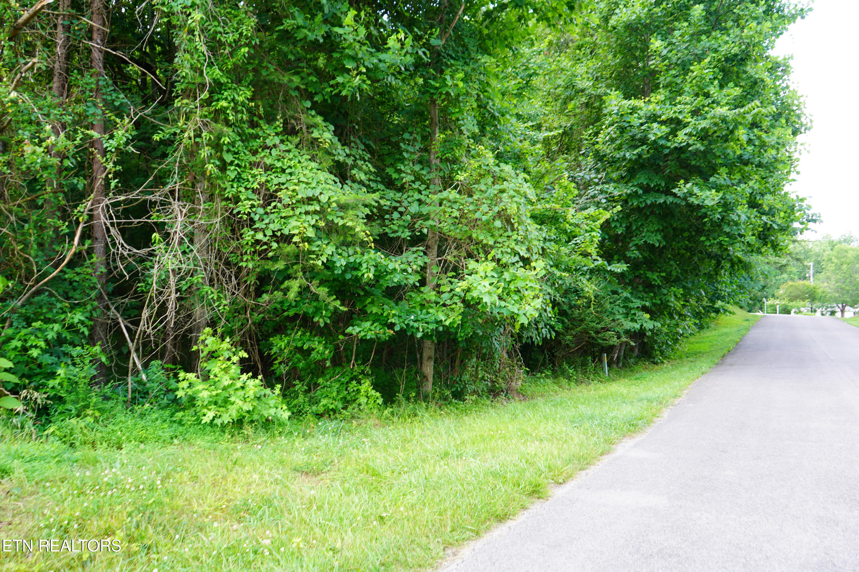 Hidden River Lane Spencer TN 38585
