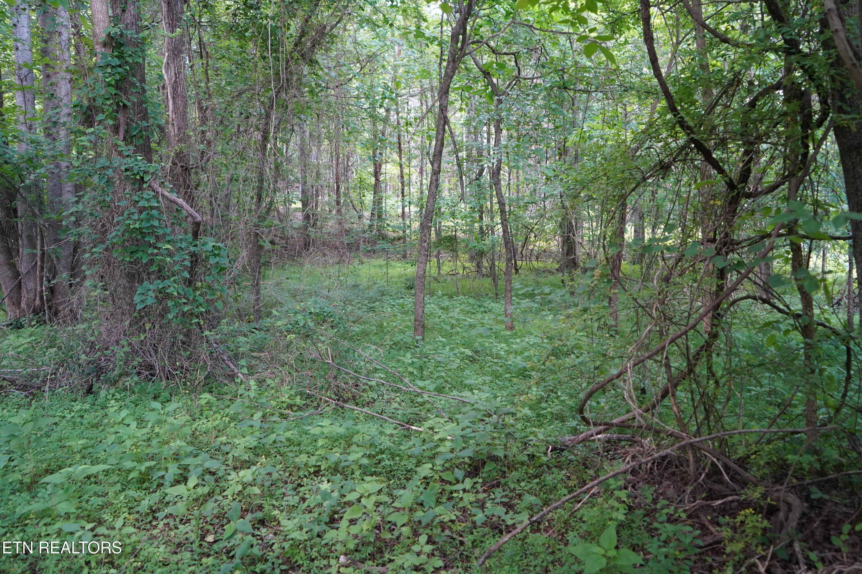 Hidden River Lane Spencer TN 38585