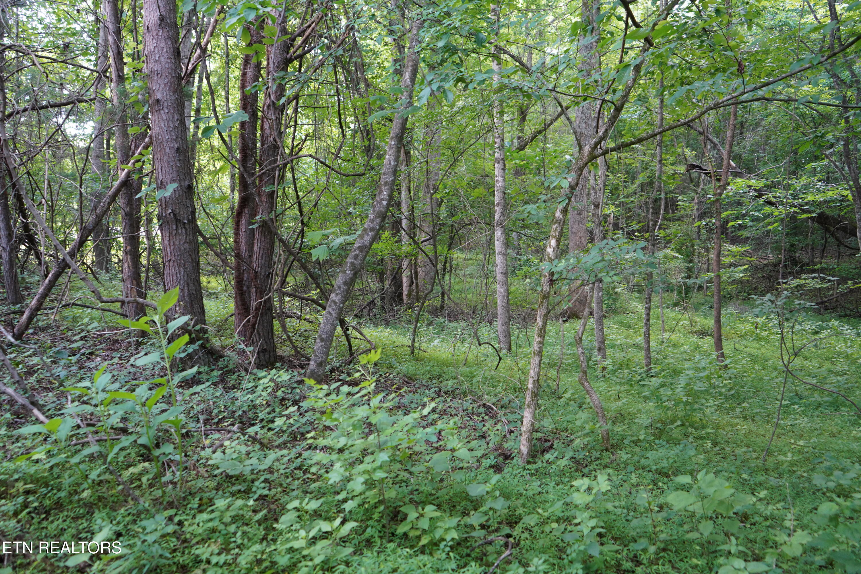 Hidden River Lane Spencer TN 38585