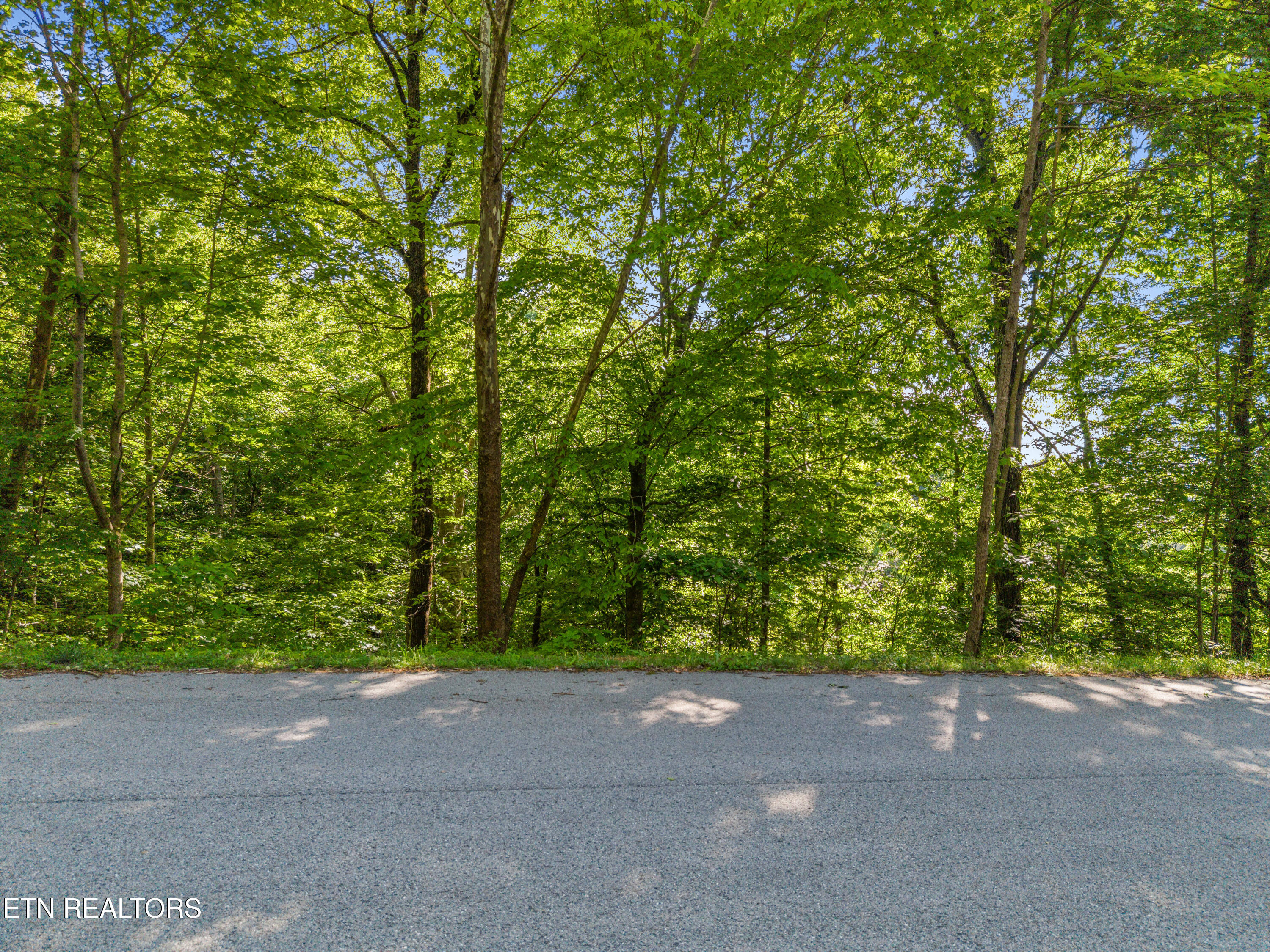 L-156R Garfield Lane Sharps Chapel TN 37866