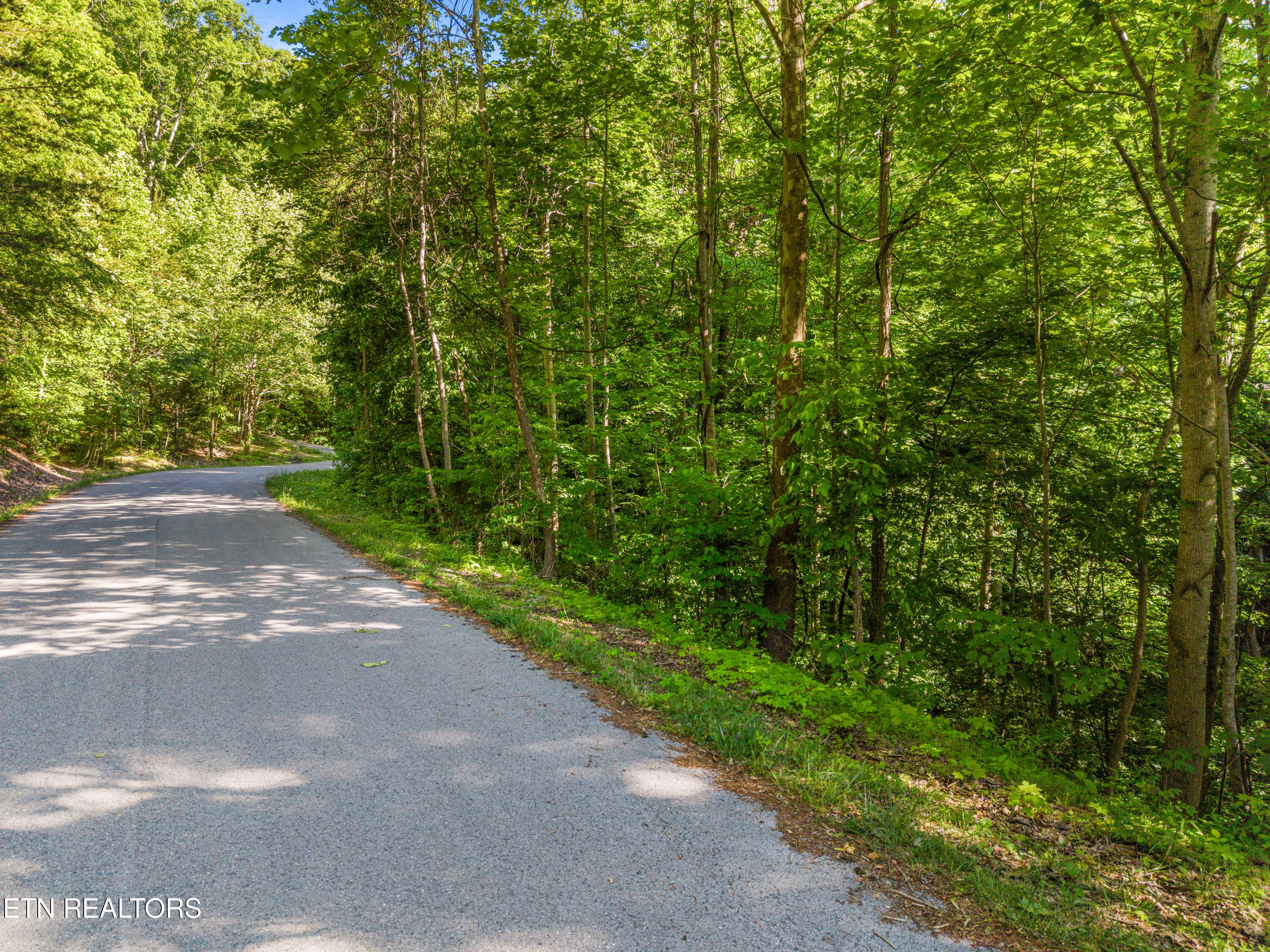 L-156R Garfield Lane Sharps Chapel TN 37866