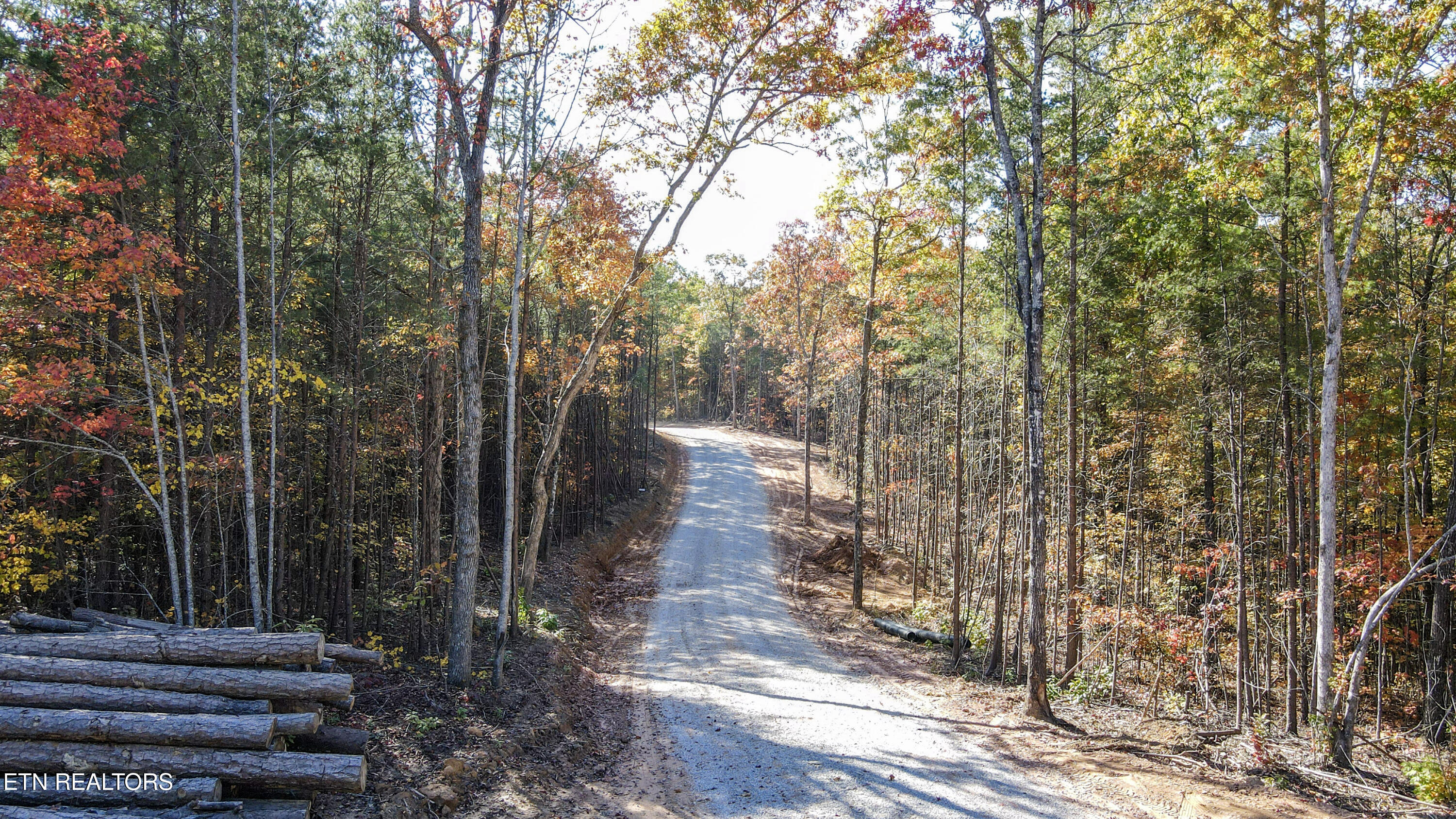 103 Cherokee Path Tellico Plains TN 37385