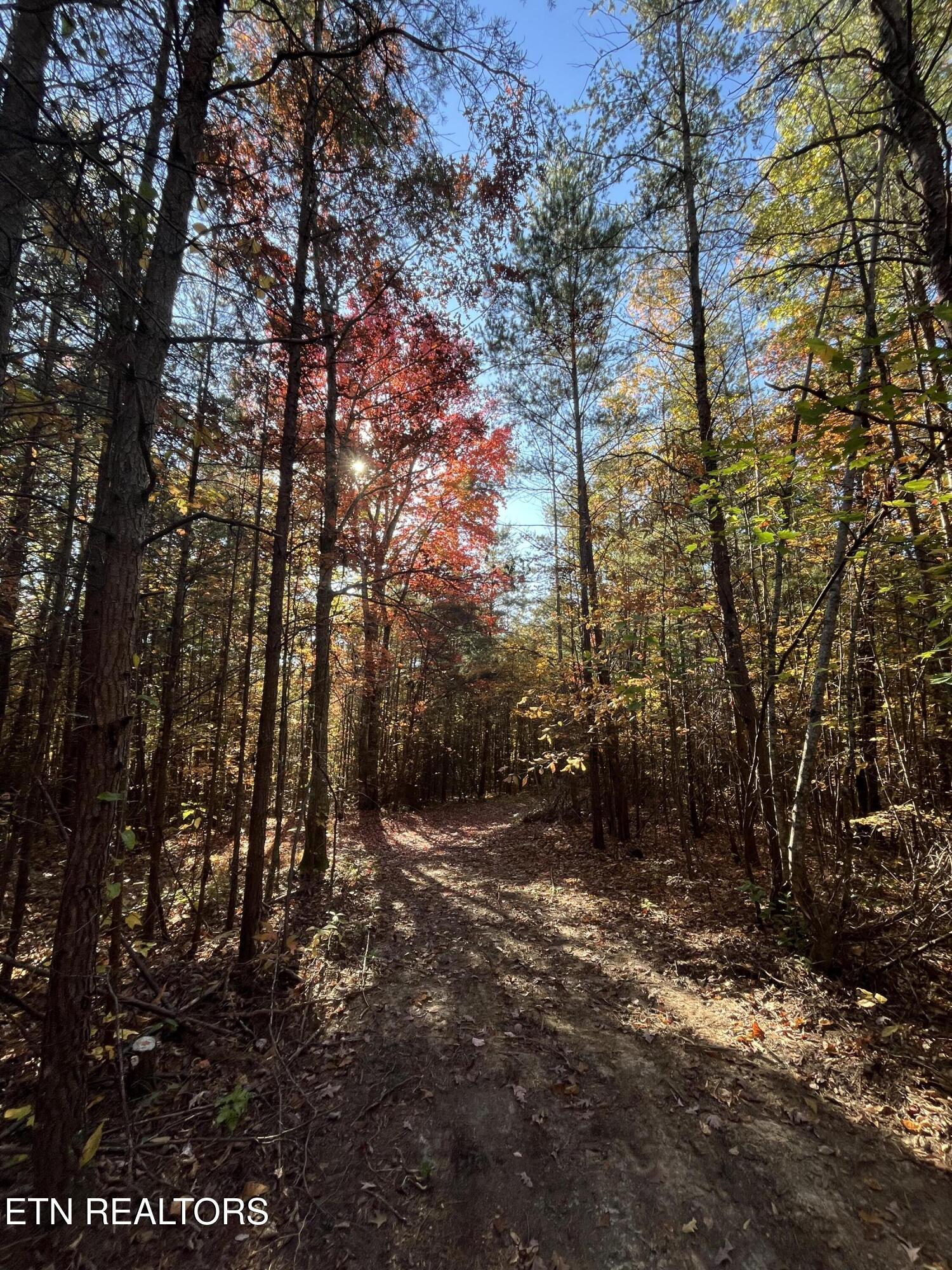 103 Cherokee Path Tellico Plains TN 37385