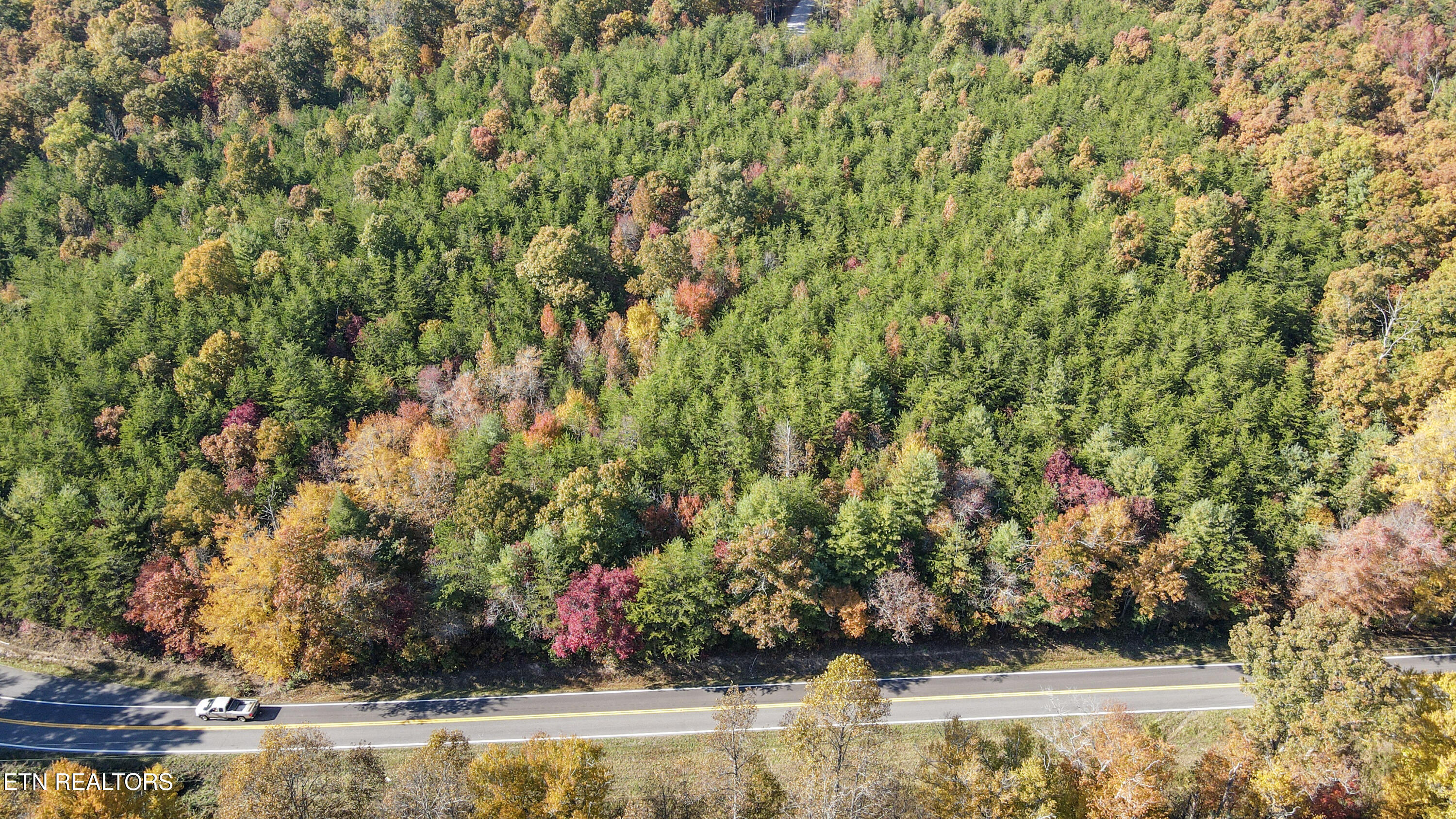 103 Cherokee Path Tellico Plains TN 37385