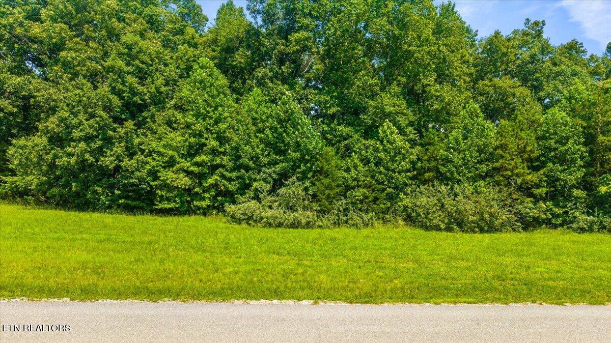 Lot 44 Old Hearth Lafollette TN 37766