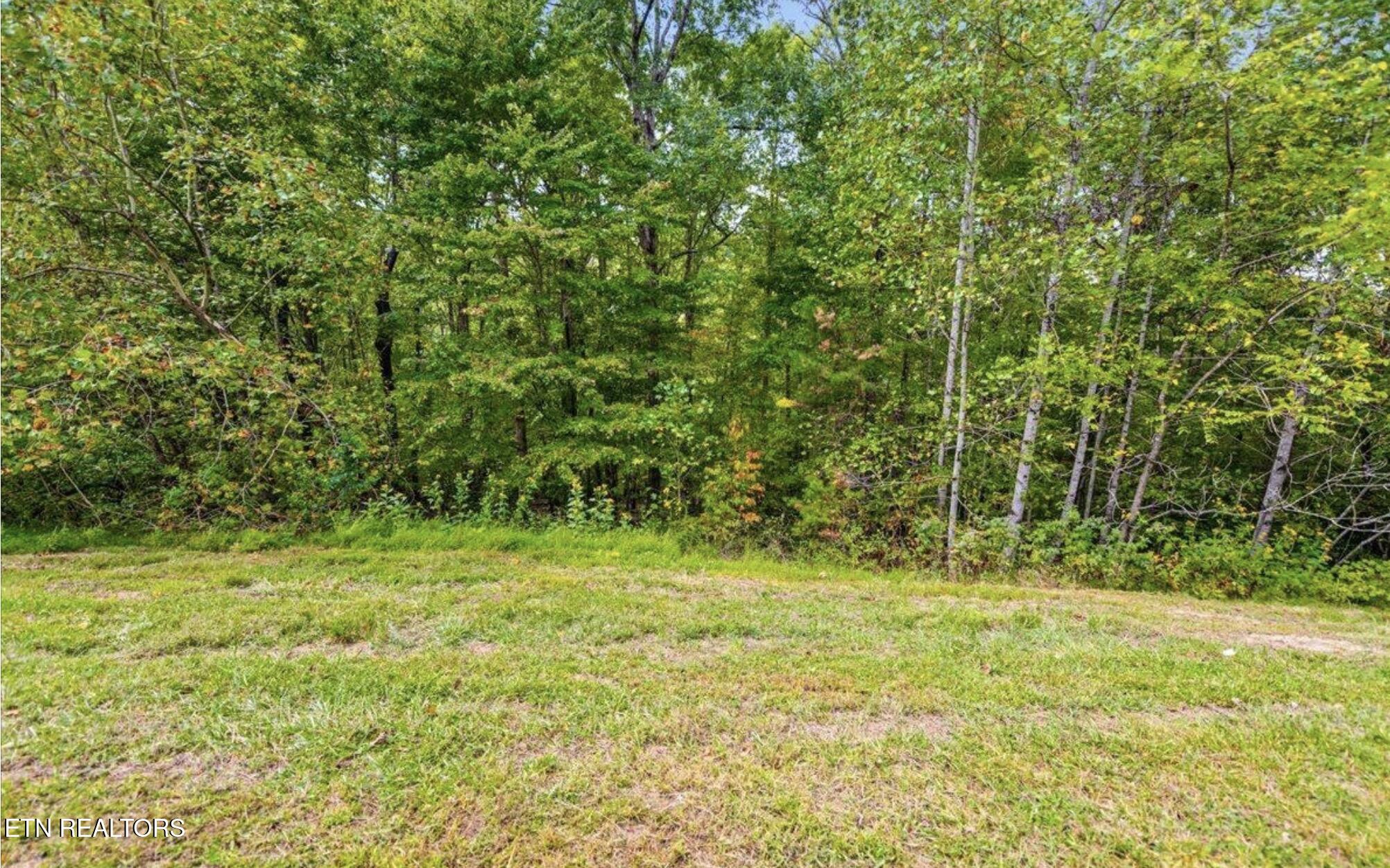 Lot 44 Old Hearth Lafollette TN 37766