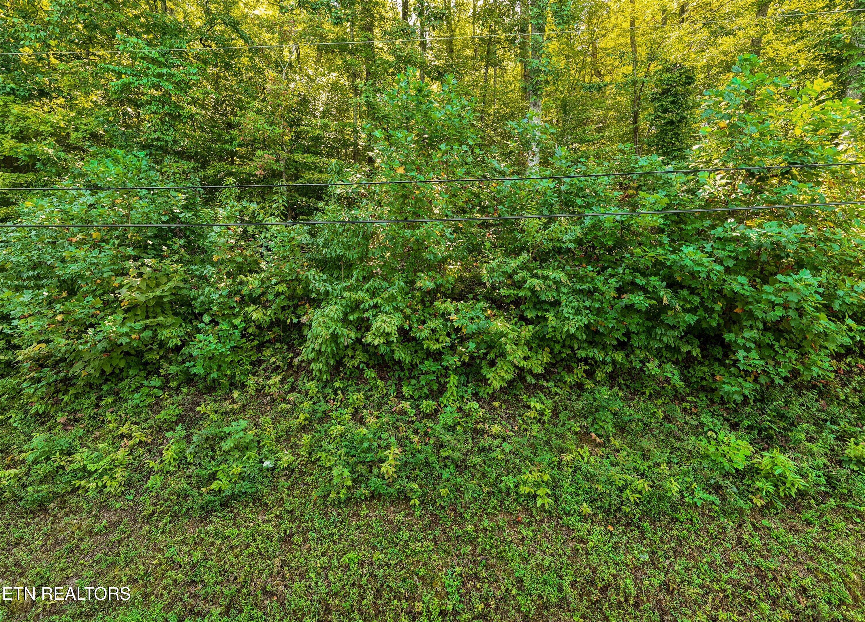 Cove Pointe Road Lafollette TN 37766