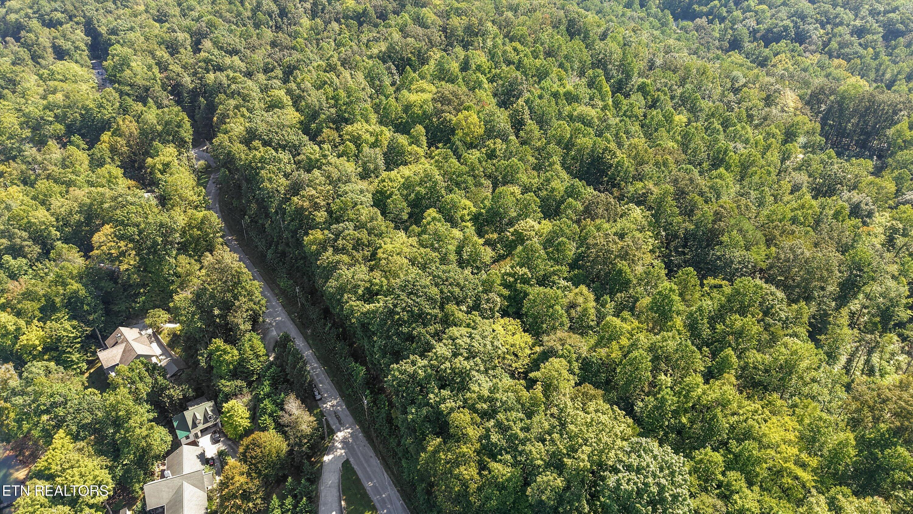 Cove Pointe Road Lafollette TN 37766