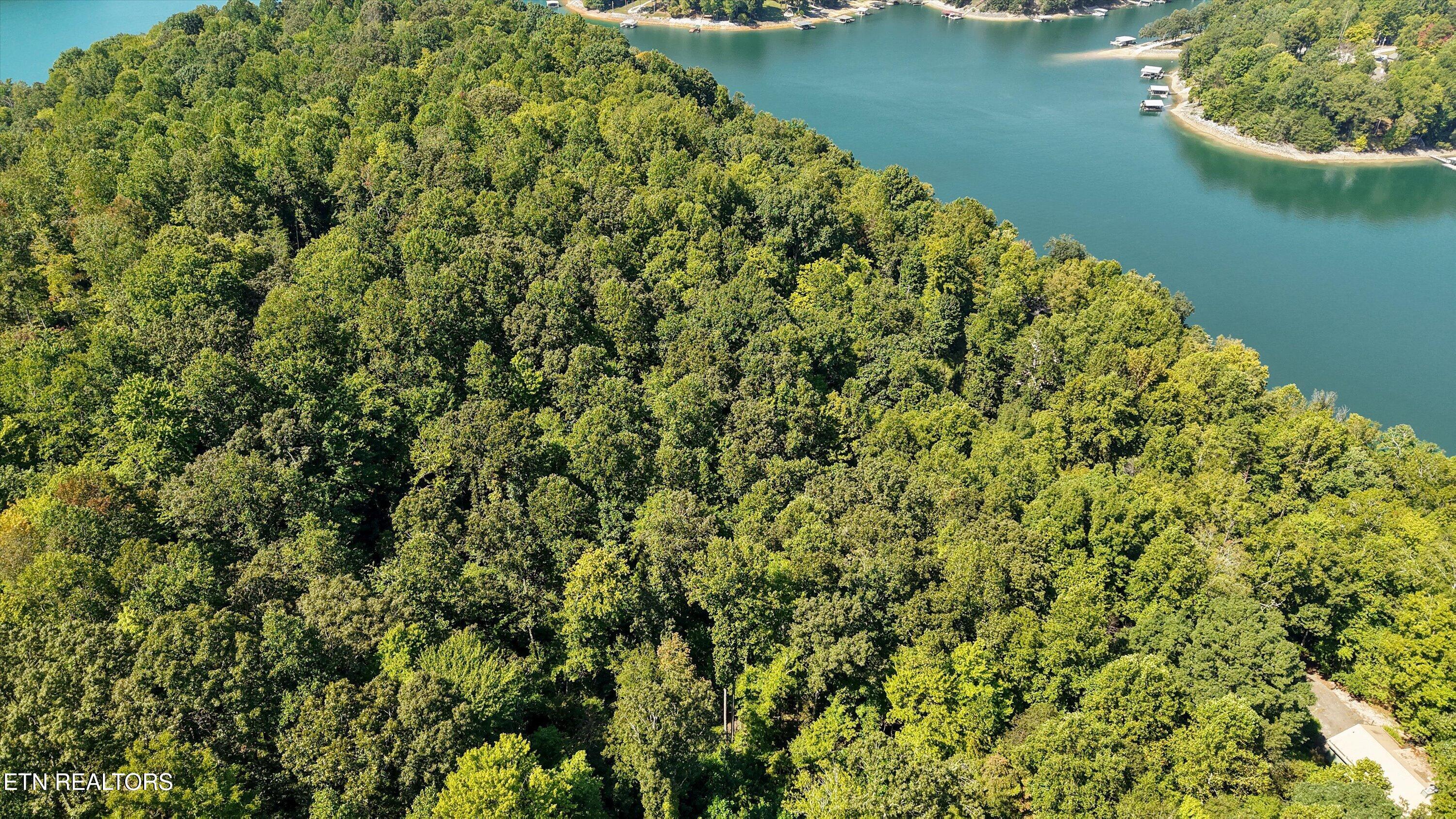 Cove Pointe Road Lafollette TN 37766