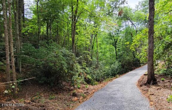 Riversong Ridge Way Sevierville TN 37876