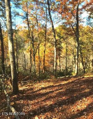 Riversong Ridge Way Sevierville TN 37876