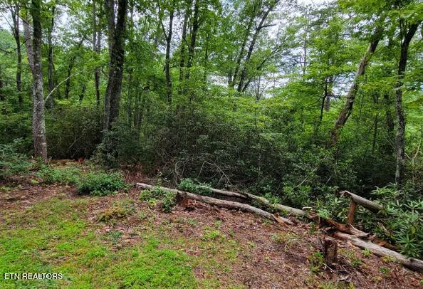 Riversong Ridge Way Sevierville TN 37876