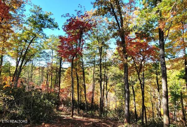 Riversong Ridge Way Sevierville TN 37876