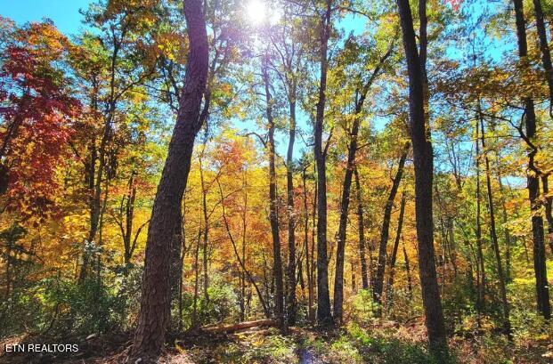 Riversong Ridge Way Sevierville TN 37876