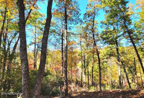 Riversong Ridge Way Sevierville TN 37876