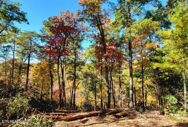 Riversong Ridge Way Sevierville TN 37876