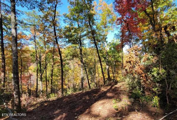 Riversong Ridge Way Sevierville TN 37876
