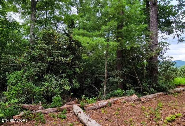 Riversong Ridge Way Sevierville TN 37876