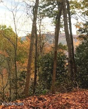 Riversong Ridge Way Sevierville TN 37876