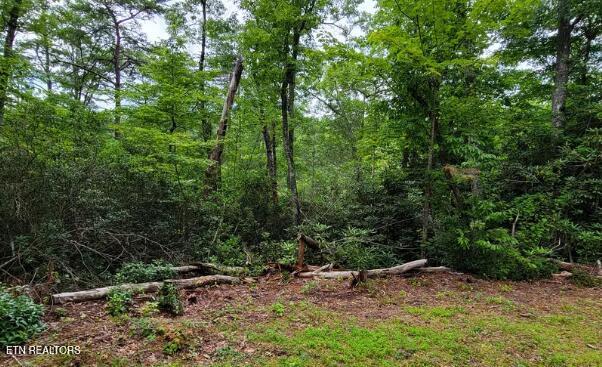 Riversong Ridge Way Sevierville TN 37876