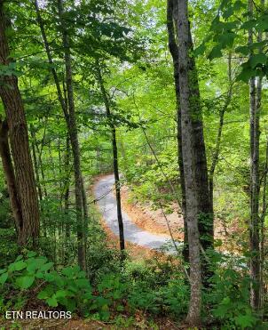 Riversong Ridge Way Sevierville TN 37876