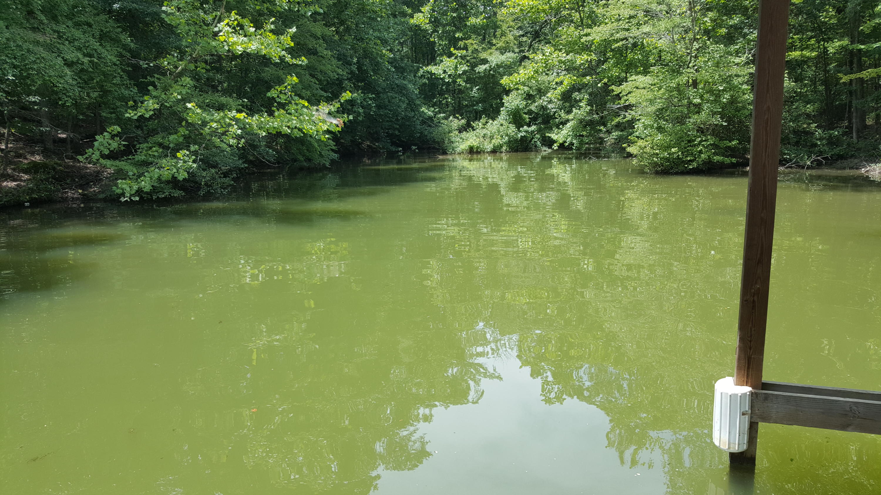 Lot 108 Treasure Tree Road Ten Mile TN 37880