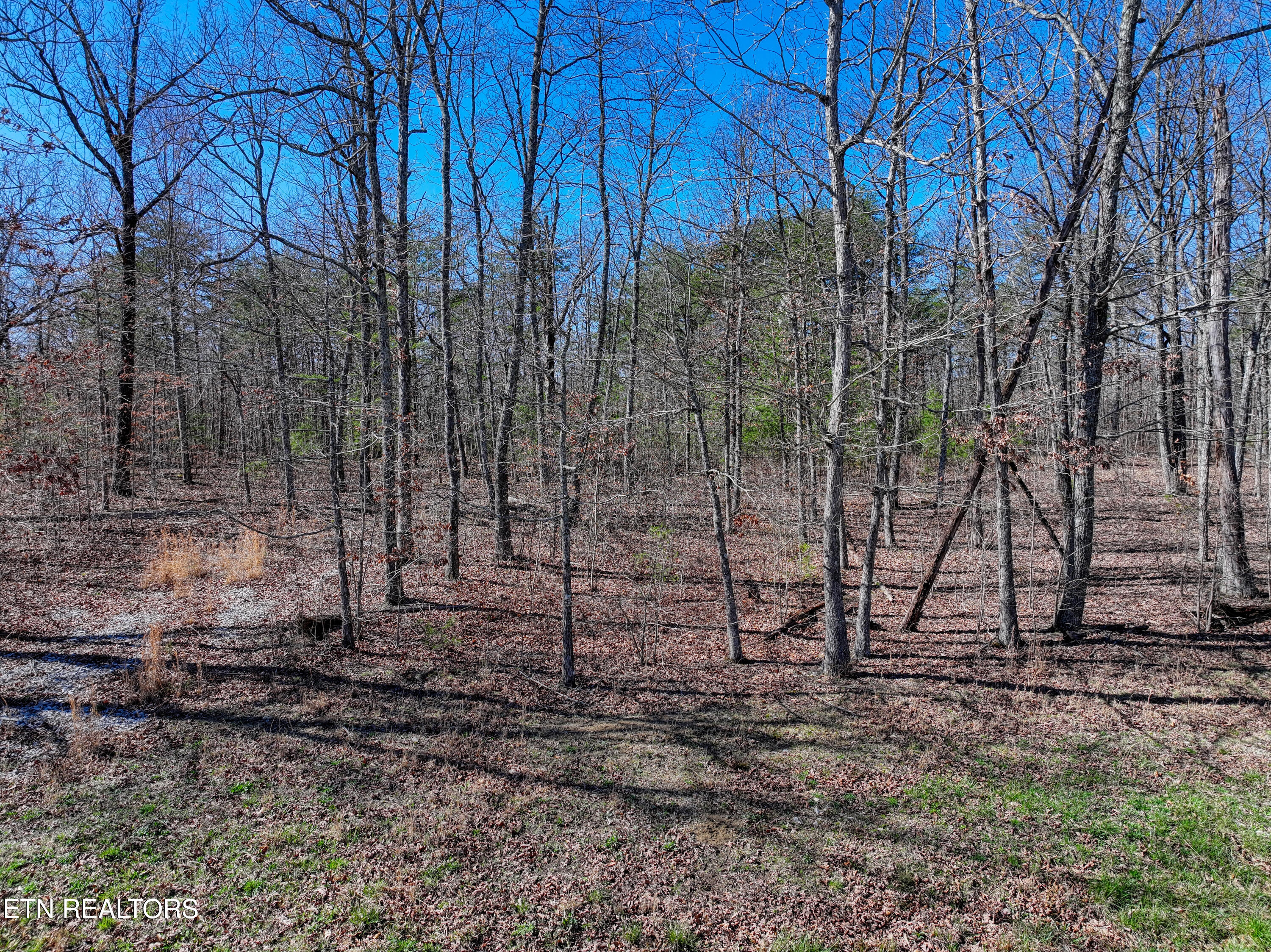 0 Gray Rock View Pikeville TN 37367
