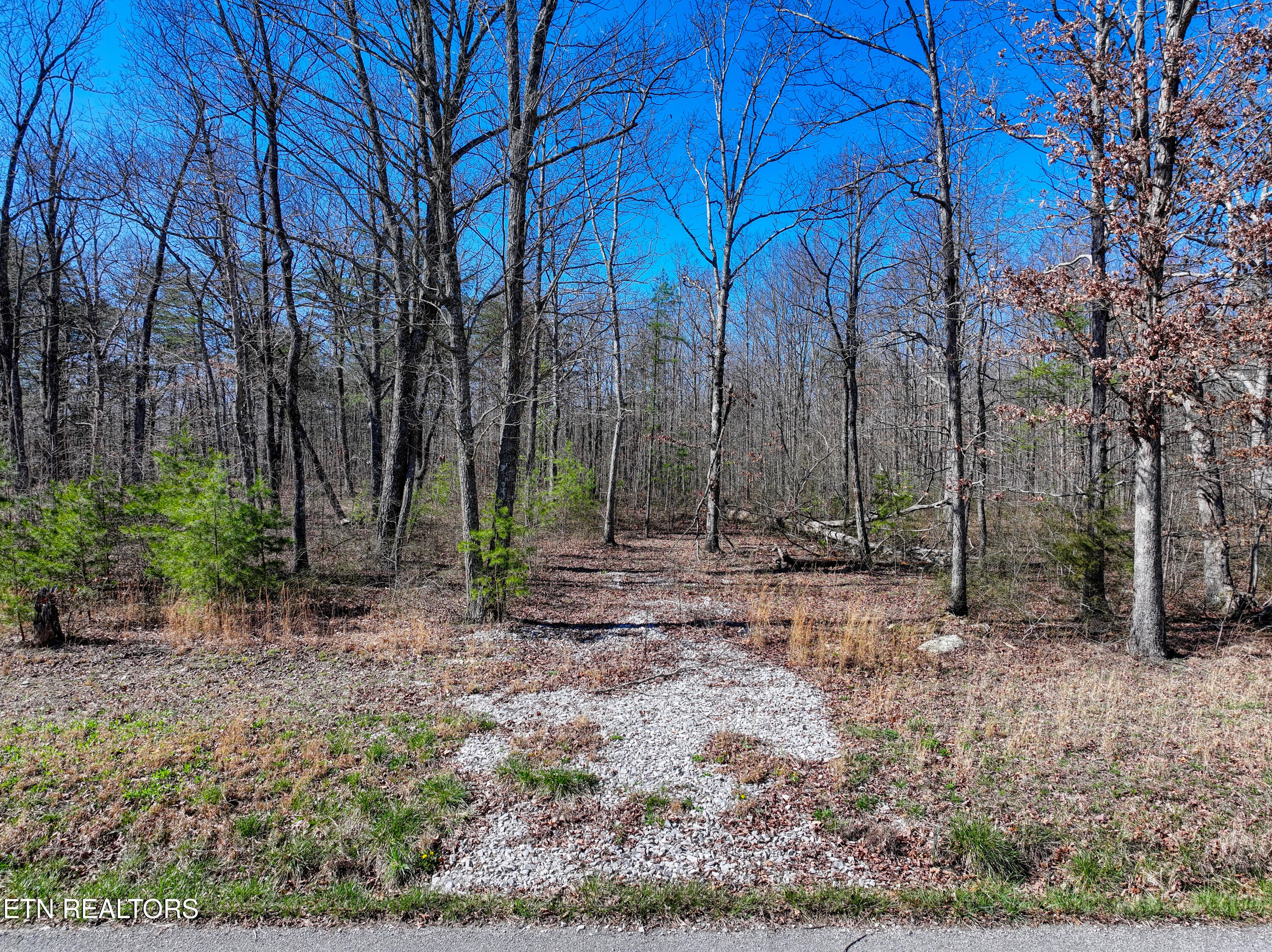 0 Gray Rock View Pikeville TN 37367