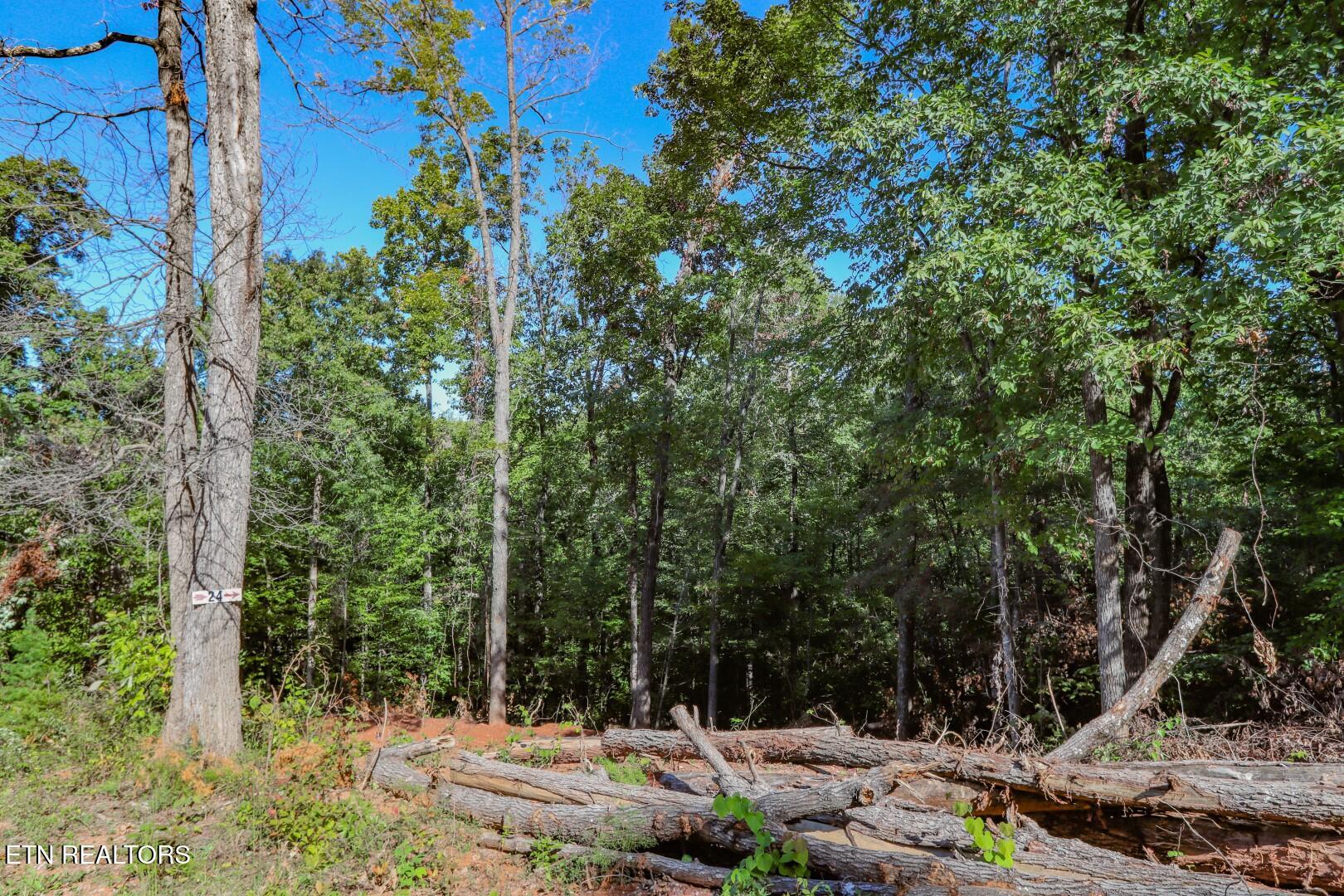 1282 Applewood Road Newport TN 37821